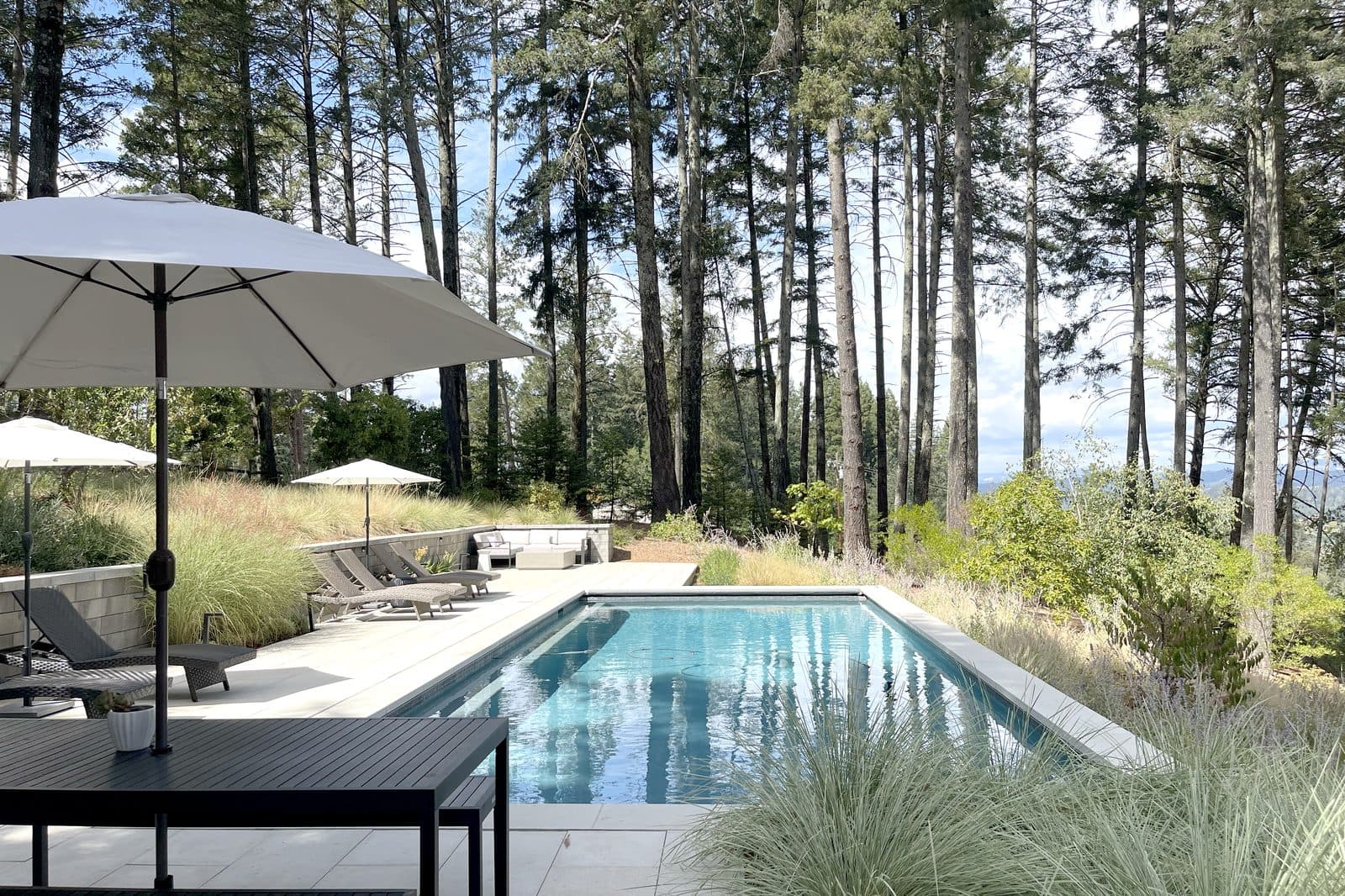 Sonoma County compound property — pool with umbrella and valley views through pine trees